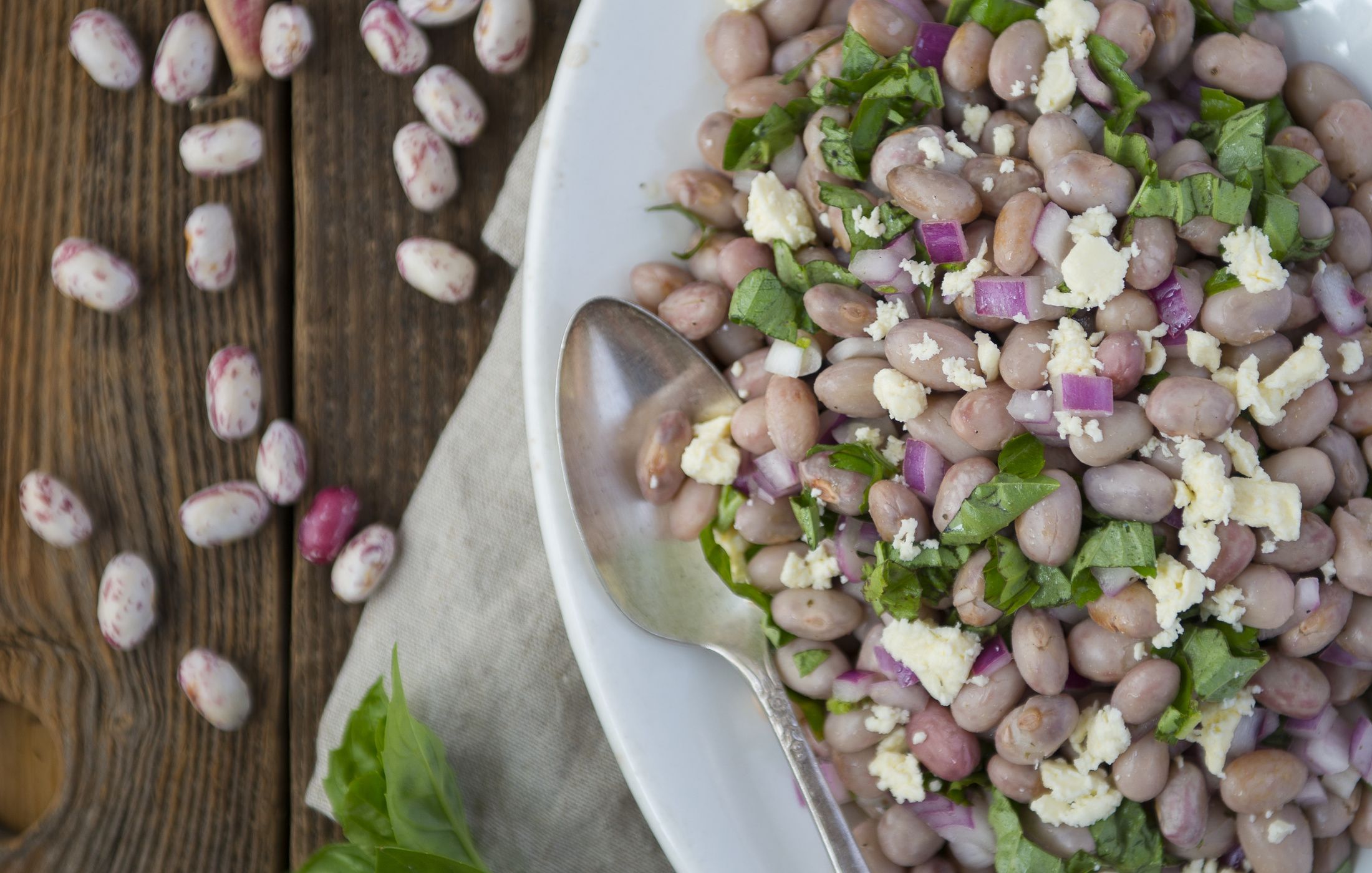 Basil Feta Cranberry Bean Salad